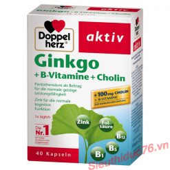 Viên uống bổ não Ginkgo Doppelherz Aktiv + B-Vitamine + Cholin Của Đức